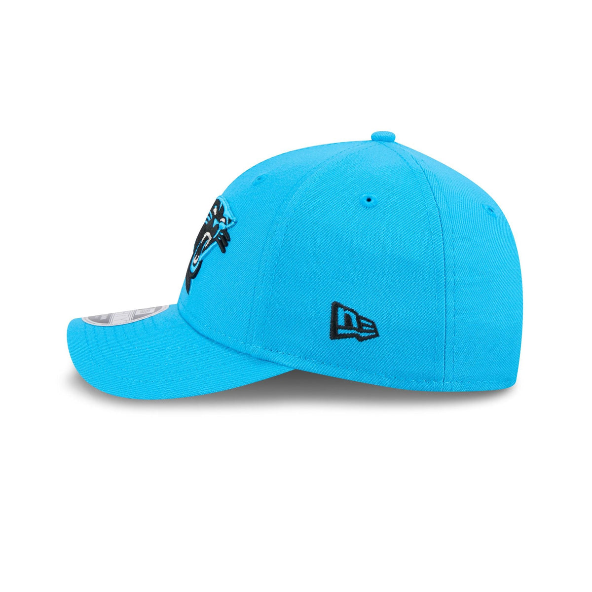 Carolina Panthers Team 9FORTY M-Crown Snapback Hat